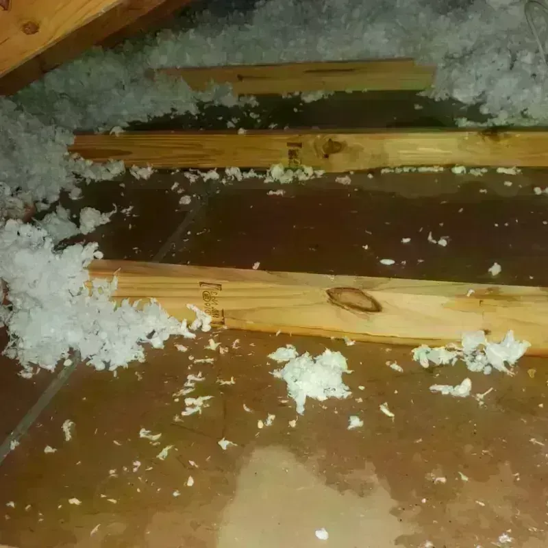 Attic Water Damage in Framingham Center, MA